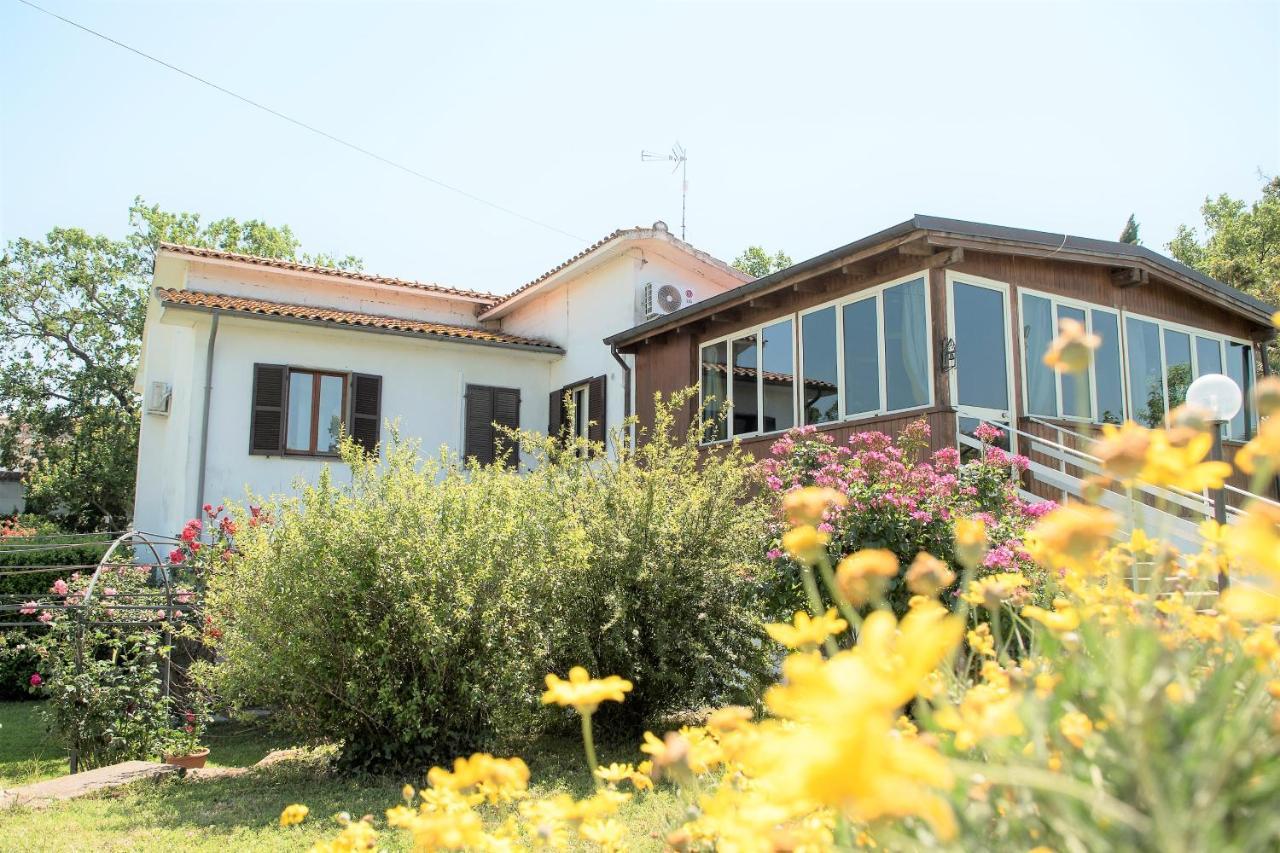 B&B Le Cinque Querce Viterbo Exterior foto