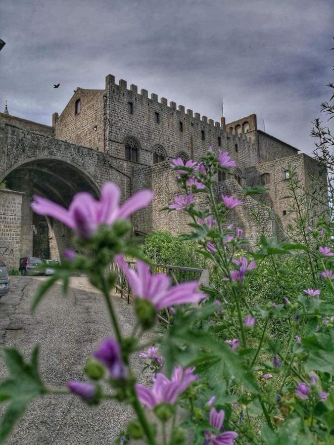 B&B Le Cinque Querce Viterbo Exterior foto